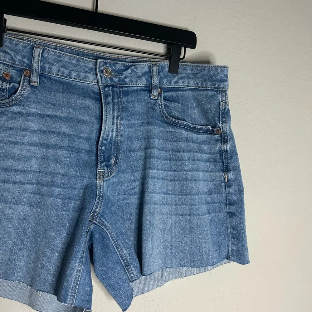 American Eagle Outfitters Low Rise Baggy Jean Shorts